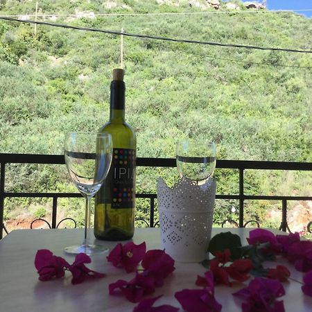 Sea Sound Aparthotel Vasiliki  Ruang foto